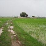 4162740924_ac43242a4d_b, Agneeswarar Temple, Neyveli, Thiruvallur