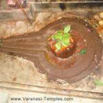 Chandeeshwar2-300x225, Chandeeshwar Temple, Varanasi