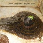 Gangeshwar2-300x225, Gangeshwar Temple, Varanasi