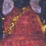 Lalitha-Gauri-1-149x300, Lalita Gauri Temple, Varanasi