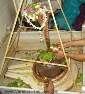 Maha-Siddheshwar2-271x300, Maha Siddheshwar Temple, Varanasi