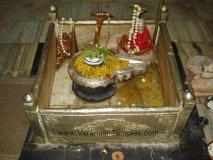 Nageshwar-Nag-Kuan2-300x225, Karkotak Nageshwar Temple, Varanasi