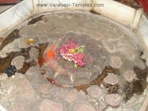 Saamba-Aditya2-300x225, Saamba Aditya Temple, Varanasi