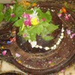 Shiva-Misc-71-300x280, Vrisheshwar Temple, Varanasi