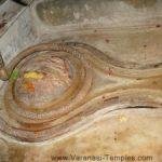 Sidhi-Ashtakeshwar2-300x225, Siddhi Ashtakeshwar Temple, Varanasi