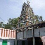 TAMILNADU, Vallimalai Murugan Temple, Pudukottai
