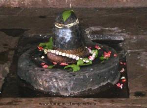 Vishalaksheshwar2-300x221, Vishalaksheeshwar Temple, Varanasi