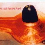 Visweshwar-Vishwanath-300x224, Vishweshwar Vishwanath Temple, Varanasi