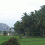 shanmuganadhi_palani, Shanmuga Nadhi Temple, palani