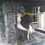 Sudarkozhundeesar Pralayakaleswarar Temple, Pennadam, Cuddalore