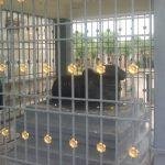 03072011177[3], Somanatheswarar Temple, Somangalam, Kanchipuram