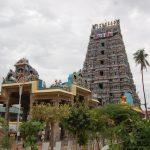 1 (158), Veerattaneswarar Thiruvathigai Temple, Panruti, Cuddalore,