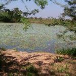 100_2703, Vaikuntha Perumal Embar Temple, Maduramangalam, Sriperumpudur, Kanchipuram