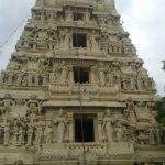 10570327_719477004758293_8008853773612464635_n