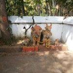 1062497_583802678368157_886938328_n