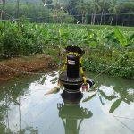 11163768_973146036058440_2411342747127407516_n