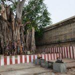 119-thiruvalangadu-vadaranyeswarar-temple-20