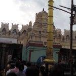 14324628_10211072644755606_5298690457384761153_o