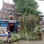 15959036191_face6030f7_b, Velleeswarar Temple, Mylapore, Chennai