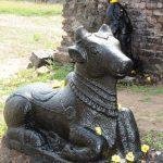 17309387_764019940440656_3364497420474855206_n