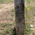 17309642_764019513774032_5235960411521330821_n