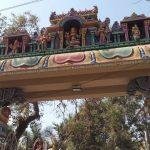 17457352_10212972736496712_9048787851048809136_n