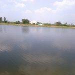 2013-02-21-293, Bala Subrahmanya Temple, Siruvapuri, Thiruvallur