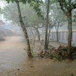 2013-11-27 (3), Bhaktavachleshwarar Temple, Thirupanticode, Kanyakumari