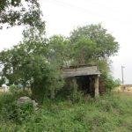 2015-09-09 (2), Adhi Kesava Perumal Temple, Pakasalai, Thiruvallur