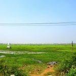20150222_114043, Eri Katha Ramar Temple, Thiruninravur, Thiruvallur