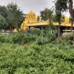 2016-09-04 (4), Dharaneeshwarar Temple, Thandalam, Thiruvallur