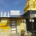 2016-10-03, Varadaraja Perumal Temple, Thirupattur, Trichy