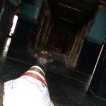 2016-10-22 (10), Jambukeswarar Temple, Nallicheri, Thanjavur
