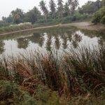 2016-10-22 (4), Jambukeswarar Temple, Nallicheri, Thanjavur