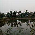 2016-10-22 (7), Jambukeswarar Temple, Nallicheri, Thanjavur