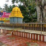 2016-11-06 (1), Nagaraja Temple, Nagercoil, Kanyakumari