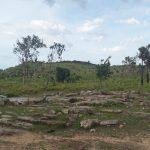 2016-11-07 (1), Kanchanagiri Shiva Temple, Vellore