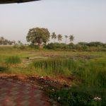 2016-12-07 (5), Kalahasteeswarar Temple, Sayanavaram, Thiruvallur