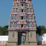 2017-01-09, Dhatreeswarar Temple, Sitharkadu, Thiruvallur