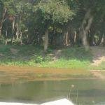 2017-02-03 (2), Sapthamadha Temple, Manakkal, Trichy