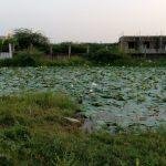 2017-02-ijijoi13 (1), Singeeswarar Temple, Mappedu, Thiruvallur