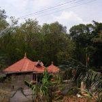 2017-03-08 (2), Bhadrakali Devi Temple, Nangarathala, Kanyakumari