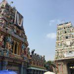 2017-04-09, Srinivasa Perumal Vedanta Desikar Temple, Mylapore, Chennai