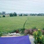 2017-04-25, Ellai Amman Temple, Pakkam, Thiruvallur