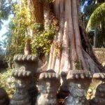 2017-05-03 (1), Neelakandeswarar Temple, Kalkulam, Kanyakumari
