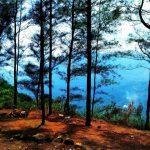 2017-05-08 (1), Kalimala Durgadevi Temple, Pathukani, Kanyakumari