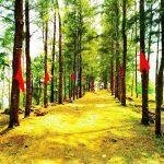 2017-05-09, Kalimala Durgadevi Temple, Pathukani, Kanyakumari