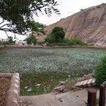 2017-05-29 (2), Yoga Narasimha Perumal Temple, Narasingam, Yanaimalai, Madurai