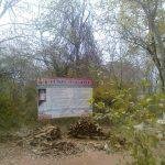 2017-06-29 (1), Mahalingeswarar Temple, Thavasi Medai, Dindigul