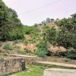 2017-07-04 (2), Vaaleeswarar Temple, Ramagiri, Andhra Pradesh